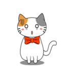 Bubu Cat（個別スタンプ：15）