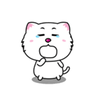 White Cat : Good or Bad（個別スタンプ：35）