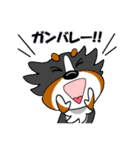 気分屋バーニーズ（個別スタンプ：3）