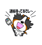 気分屋バーニーズ（個別スタンプ：4）