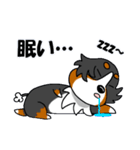 気分屋バーニーズ（個別スタンプ：6）