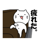 ねこショー（個別スタンプ：35）