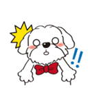 BauBau（個別スタンプ：7）