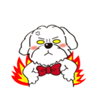 BauBau（個別スタンプ：16）