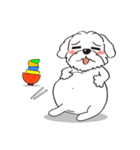 BauBau（個別スタンプ：20）