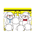 BauBau（個別スタンプ：25）