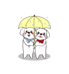 BauBau（個別スタンプ：31）