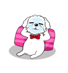 BauBau（個別スタンプ：33）
