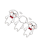 BauBau（個別スタンプ：36）