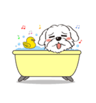 BauBau（個別スタンプ：40）