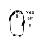 I'm a penguin (EN)（個別スタンプ：26）