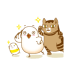 Chubby chubby（個別スタンプ：38）