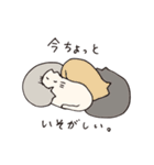 ねこですけど（個別スタンプ：17）