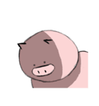 I'm a Pig（個別スタンプ：21）