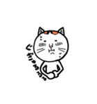 ウメちゃんも猫（個別スタンプ：16）