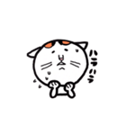 ウメちゃんも猫（個別スタンプ：18）