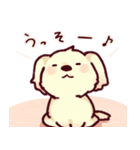 hinata Sticker of a dog（個別スタンプ：11）