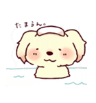 hinata Sticker of a dog（個別スタンプ：34）