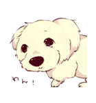 hinata Sticker of a dog（個別スタンプ：39）