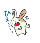 怪訝そうなウサギ（個別スタンプ：23）
