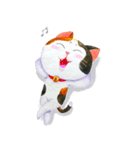 Tamsy 三毛猫（個別スタンプ：12）