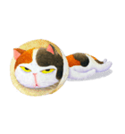 Tamsy 三毛猫（個別スタンプ：17）
