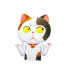 Tamsy 三毛猫（個別スタンプ：20）