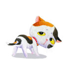 Tamsy 三毛猫（個別スタンプ：28）