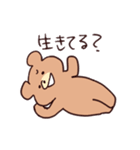 やかましいクマ（個別スタンプ：20）