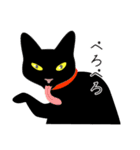 黒猫まみれ★スタンプ（個別スタンプ：29）