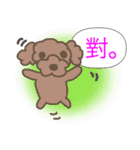 Toy poodle in Taiwanese（個別スタンプ：2）