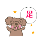 Toy poodle in Taiwanese（個別スタンプ：3）