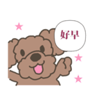 Toy poodle in Taiwanese（個別スタンプ：6）