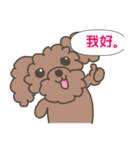 Toy poodle in Taiwanese（個別スタンプ：10）
