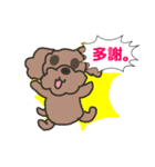 Toy poodle in Taiwanese（個別スタンプ：11）