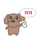 Toy poodle in Taiwanese（個別スタンプ：12）