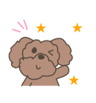 Toy poodle in Taiwanese（個別スタンプ：13）