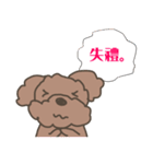Toy poodle in Taiwanese（個別スタンプ：14）