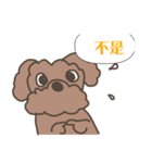 Toy poodle in Taiwanese（個別スタンプ：15）