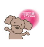 Toy poodle in Taiwanese（個別スタンプ：19）