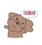 Toy poodle in Taiwanese（個別スタンプ：20）