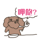 Toy poodle in Taiwanese（個別スタンプ：22）