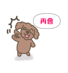 Toy poodle in Taiwanese（個別スタンプ：24）