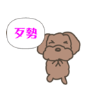 Toy poodle in Taiwanese（個別スタンプ：25）