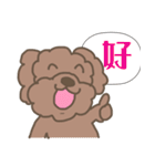 Toy poodle in Taiwanese（個別スタンプ：30）