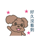 Toy poodle in Taiwanese（個別スタンプ：32）