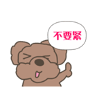 Toy poodle in Taiwanese（個別スタンプ：33）