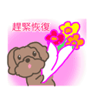 Toy poodle in Taiwanese（個別スタンプ：39）