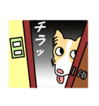 ラブリー まる（個別スタンプ：12）