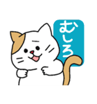 とっても見やすい接続詞ねこ（個別スタンプ：19）